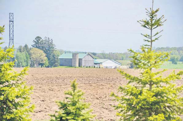 Choosing the money or the farm...