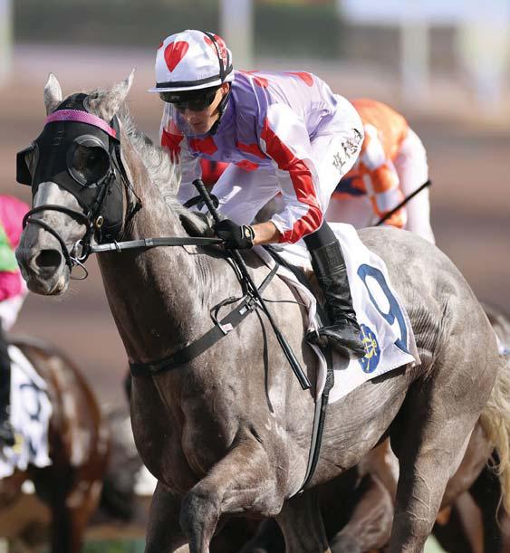 Newnham on Derby ambitions