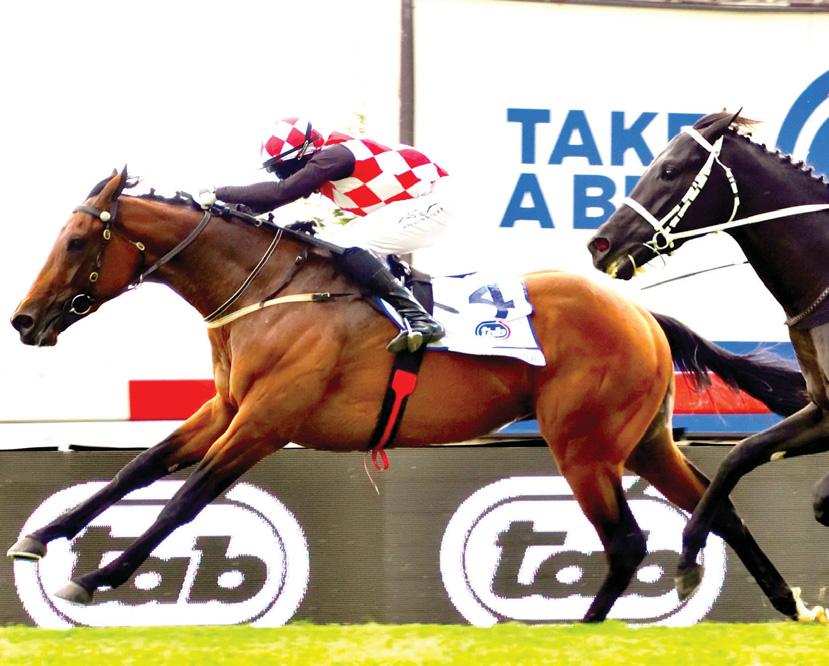 Tricky race for bettors