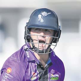 Dolphins grab One-Day Cup