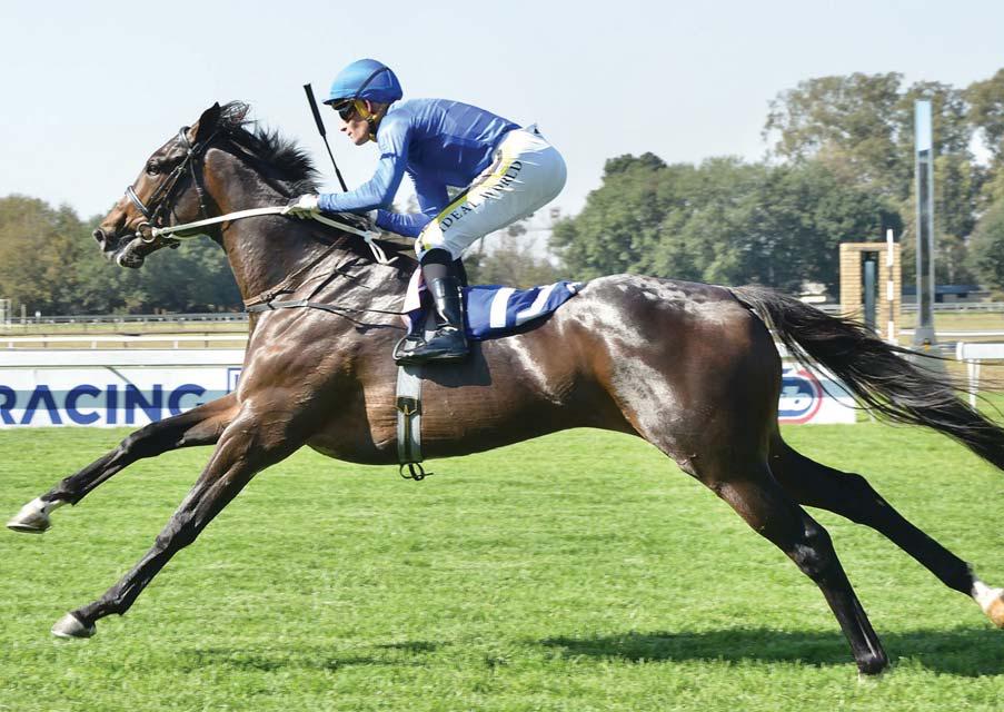 Fastnet Filly set for a Grand Crescendo