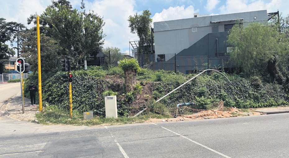 Sprucing up Joburg