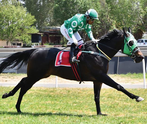 Third Time Lucky For Aristotle