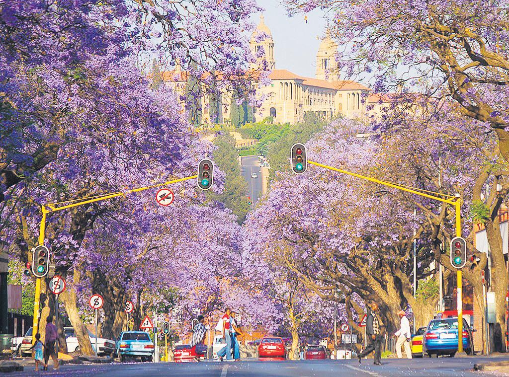 Tshwane house valuations err