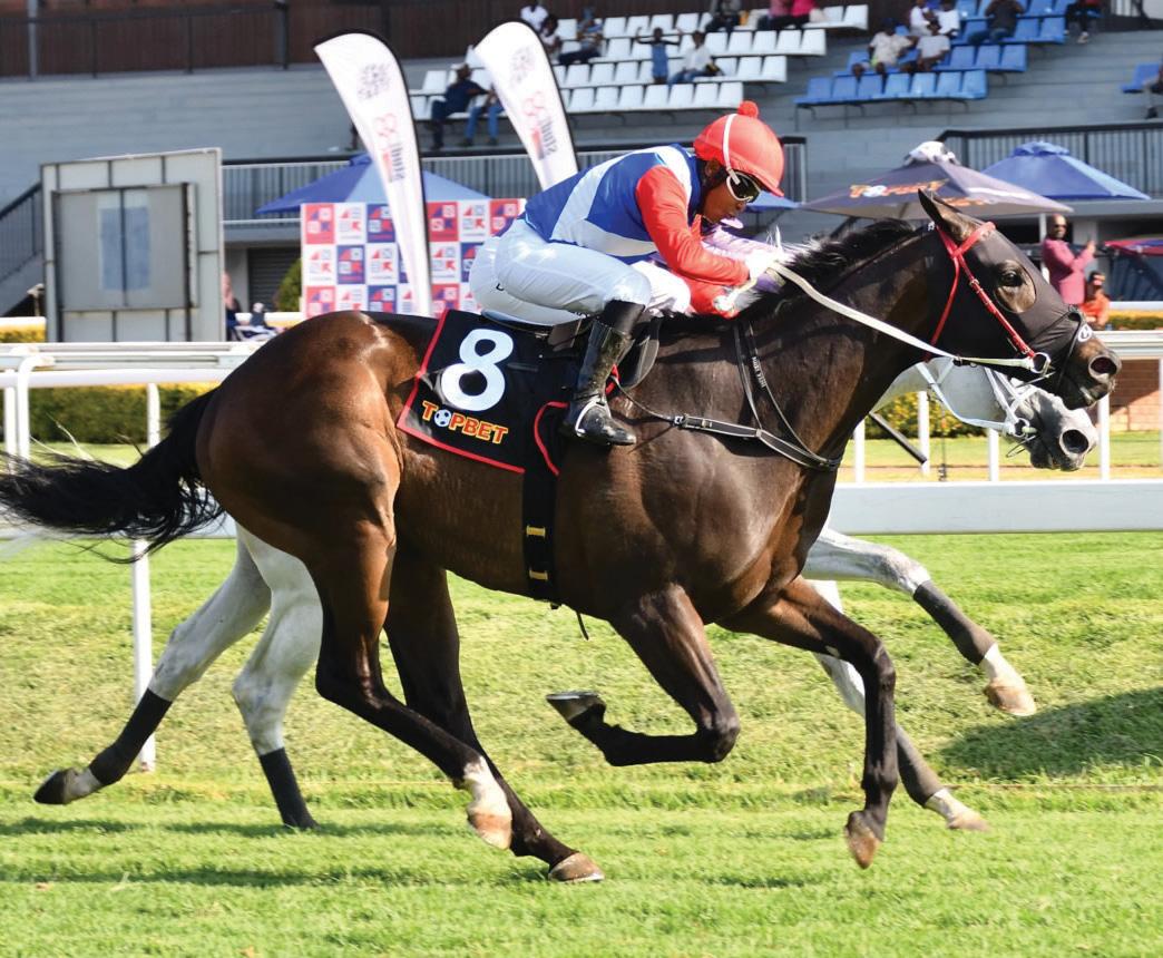 Thrilling Champions Day contests