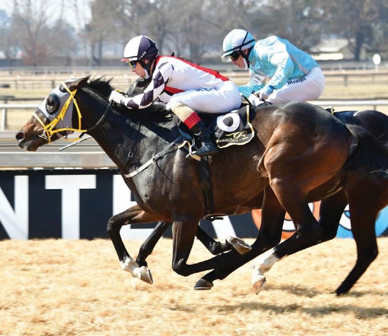 Aristotle to tower above rivals