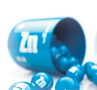 The Importance Of Zinc In Your Diet