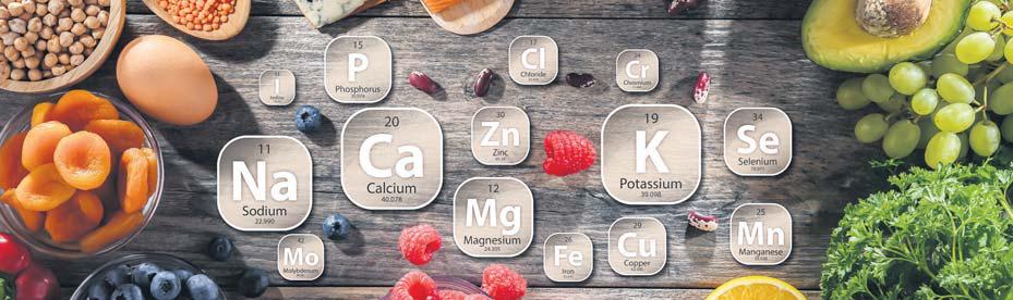 Toys have become much more than a playroom prop