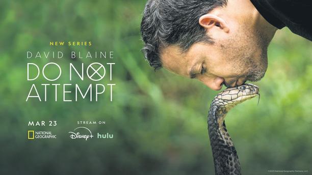 Magician meets spirit of SA