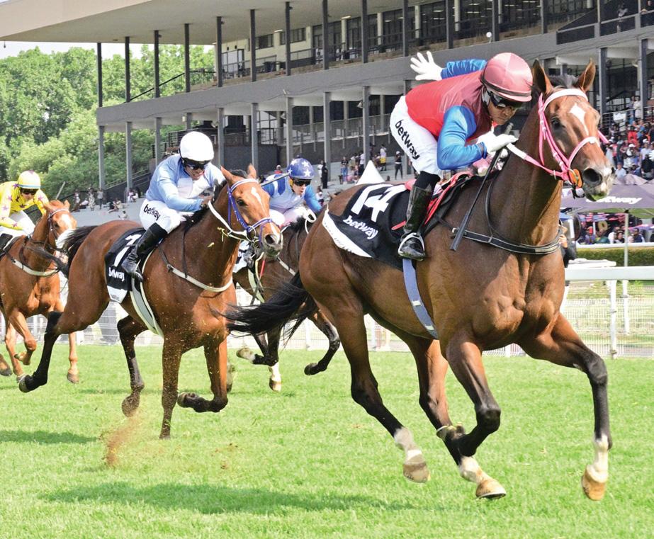 Royal Victory to defend crown