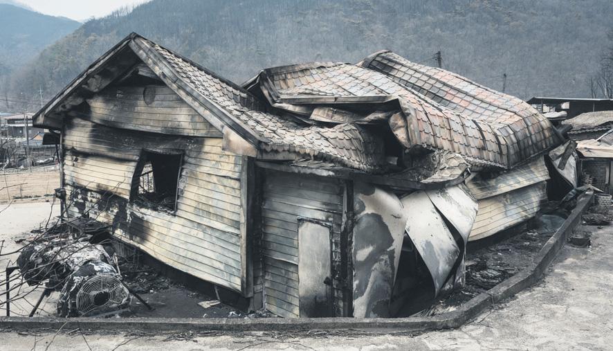 UK set to ban ninja swords