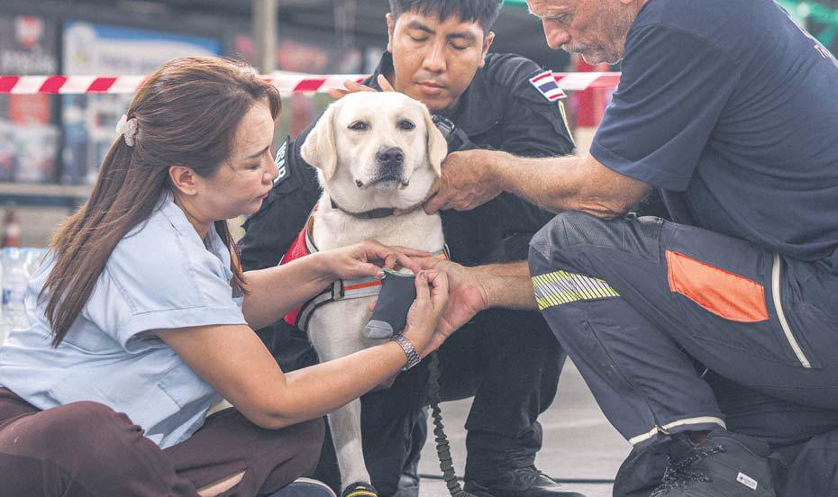 People pick up the pieces after quake
