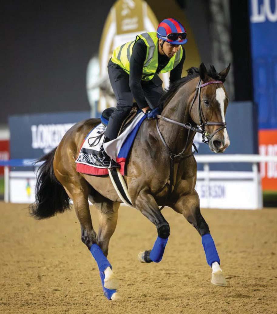 Isivunguvungu hunts Dubai win