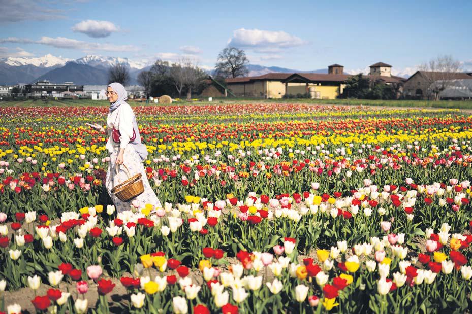 Protection order abuse