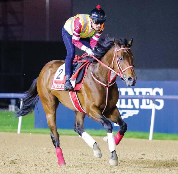 Forever Young for DWC double