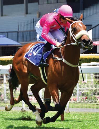 Zackey set for double