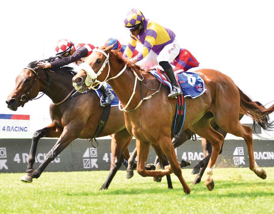 Punters get ready for One Party