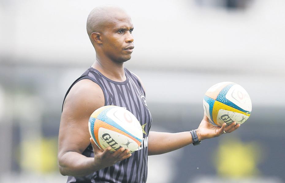 Praise is due for 'Shadow' Sharks