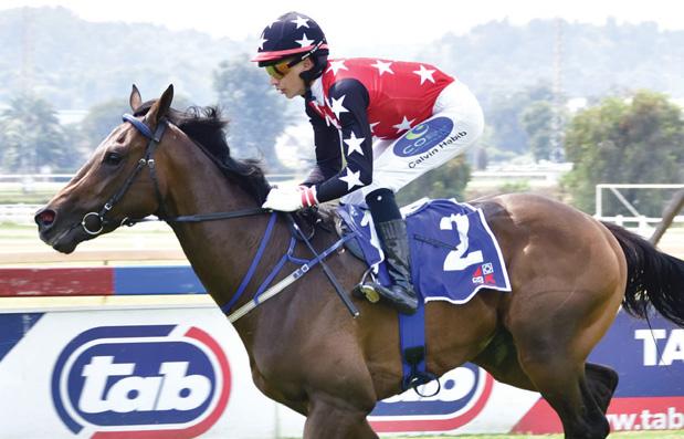 Cody's Day to Enjoy Sunshine