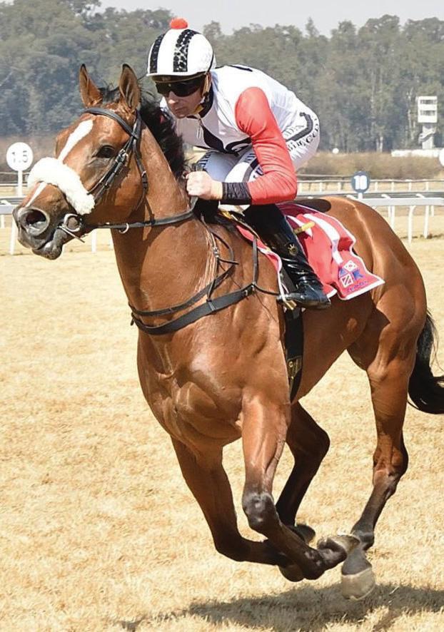 Some solid bankers for bettors