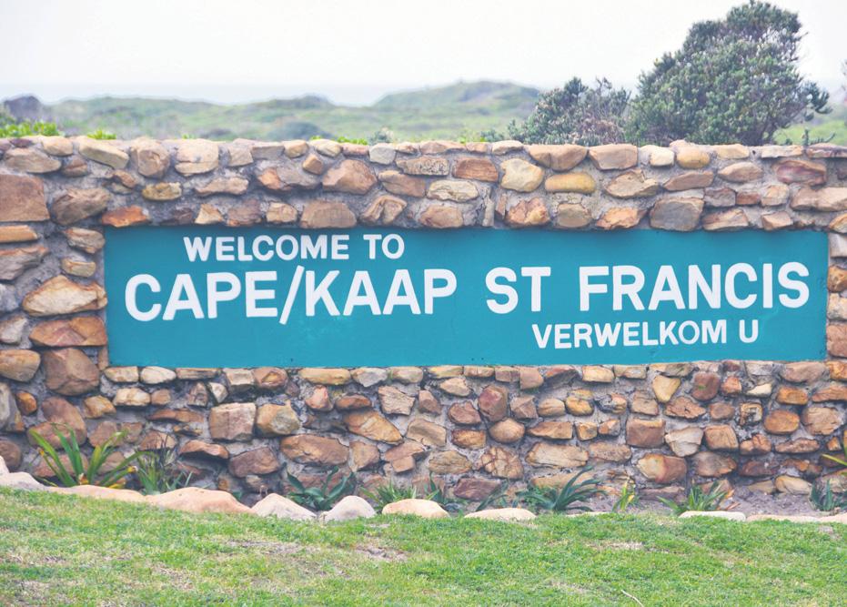 Waves, walks, wrecks and wine