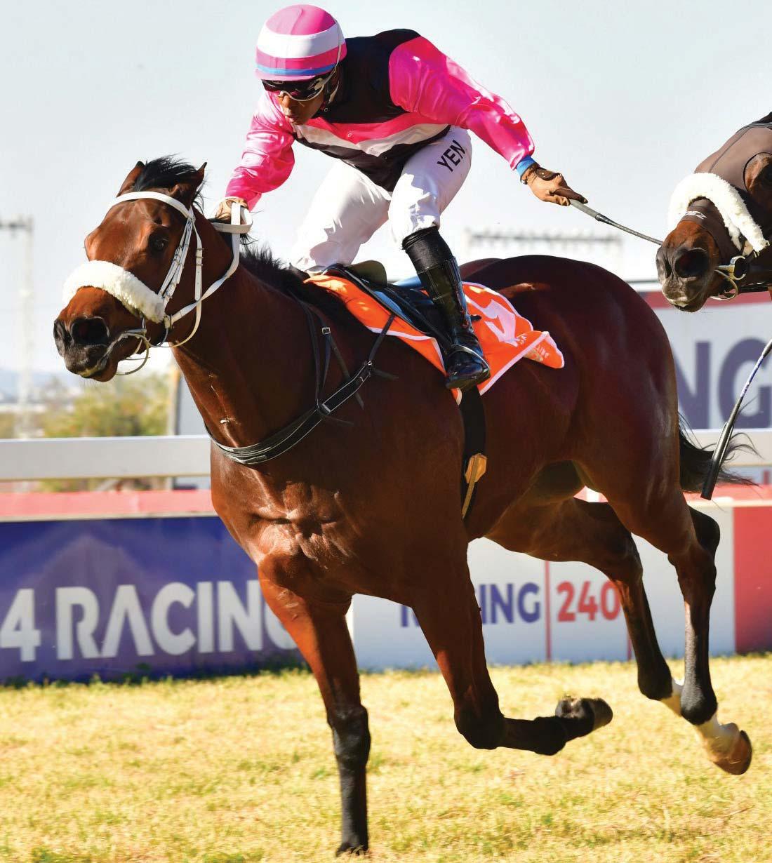 Expect Muzi to win, in theory