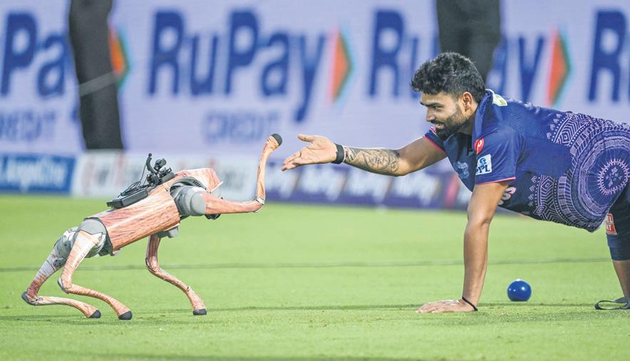 Bitter taste of freedom