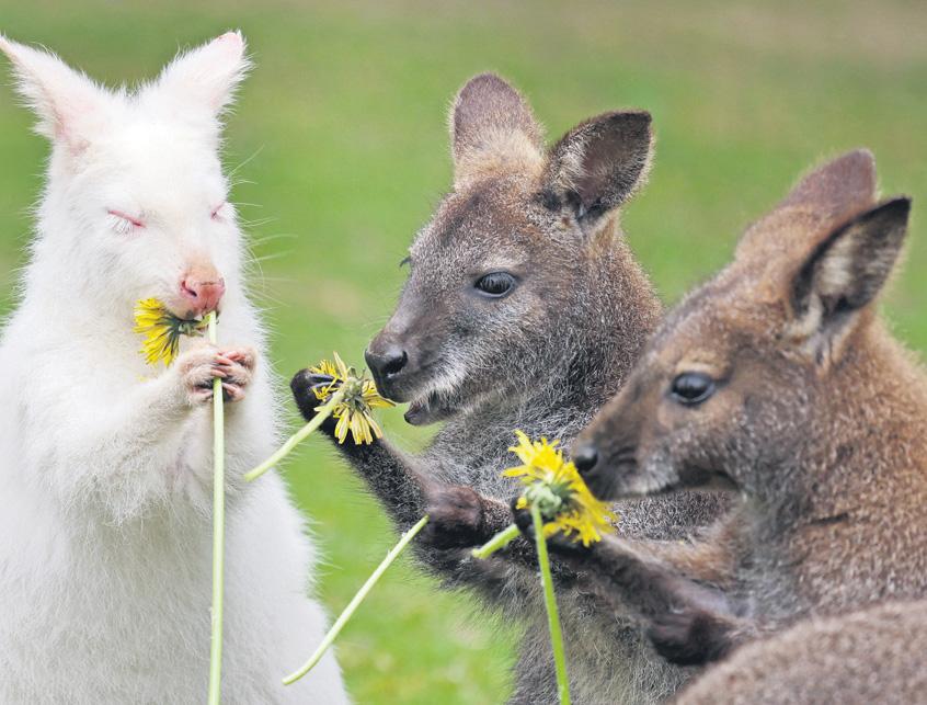 Gauteng's office woes