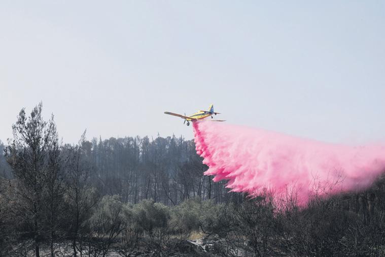 Fund to boost B-BBEE Act