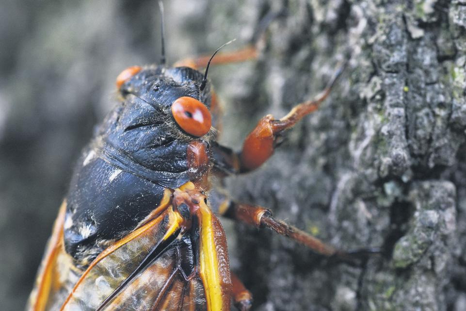 'Calm down' over Kashmir