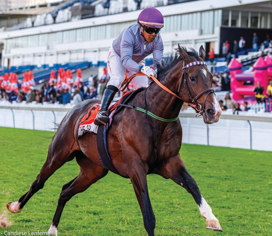 Winter Series starts on Sunday