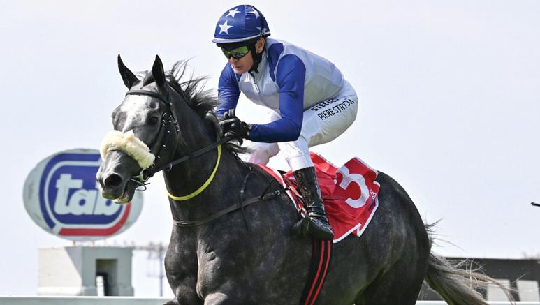 Royal Force to kick off series