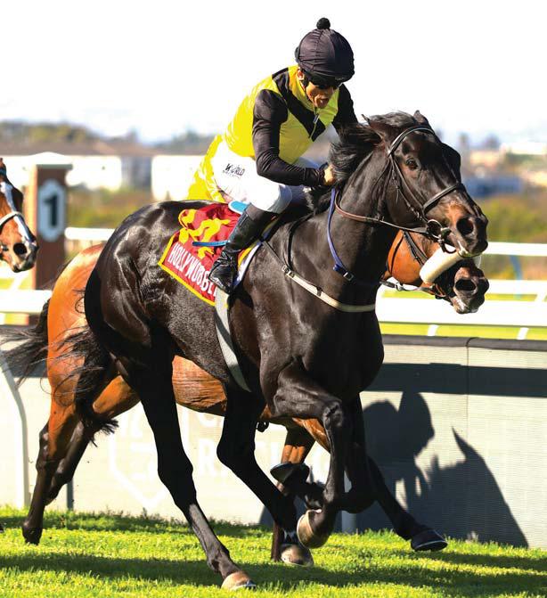 Empire State to rule in Cape