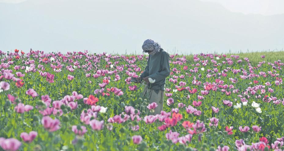 Listeria: Tiger Brands pays up