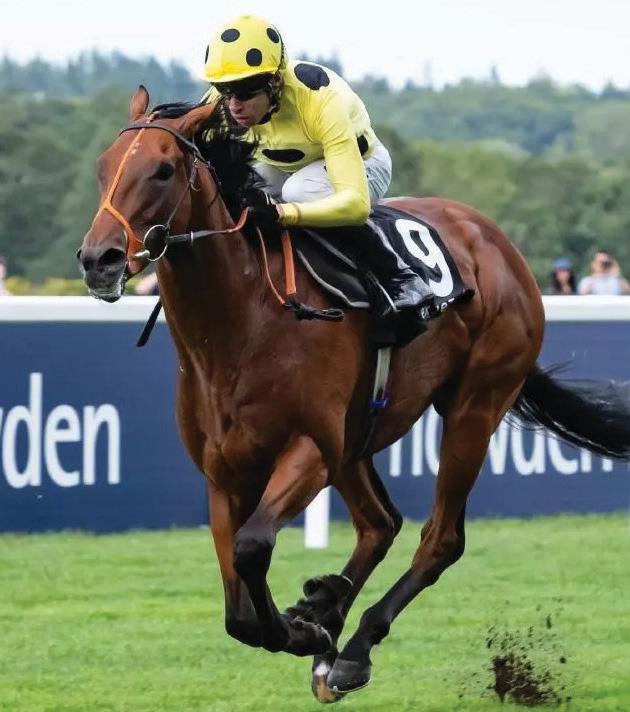 Day-by-day guide to Royal Ascot