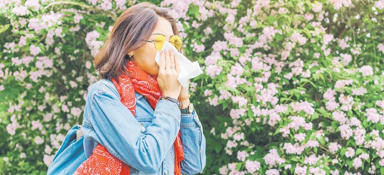 Climate change adds allergies