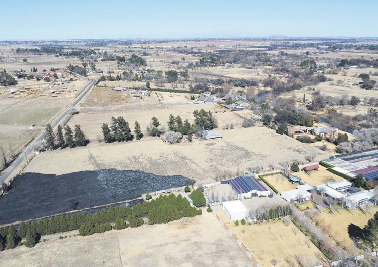 Massive Auction in Free State