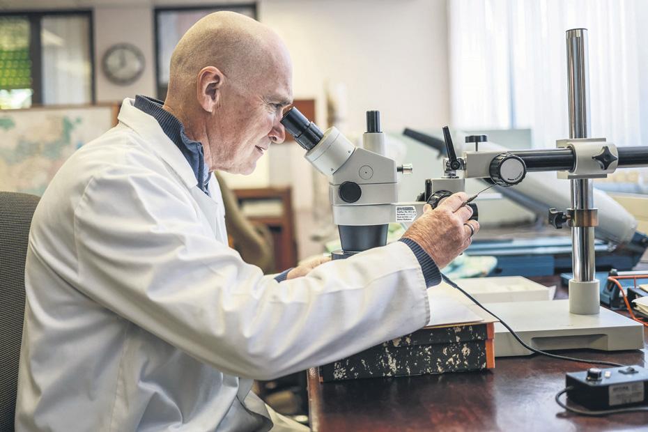 Iconic Proteas Relocate