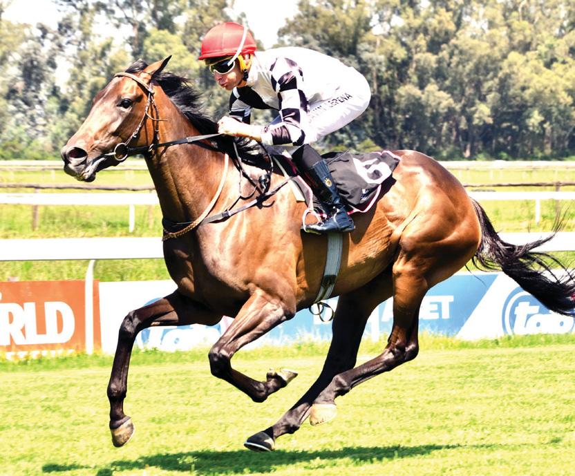 Good betting prospects