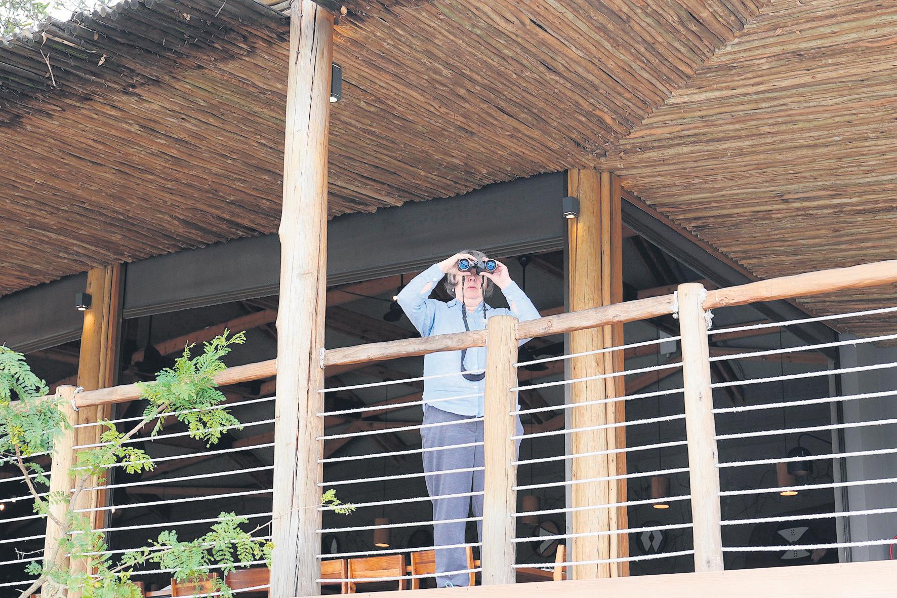 A slice of bush heaven