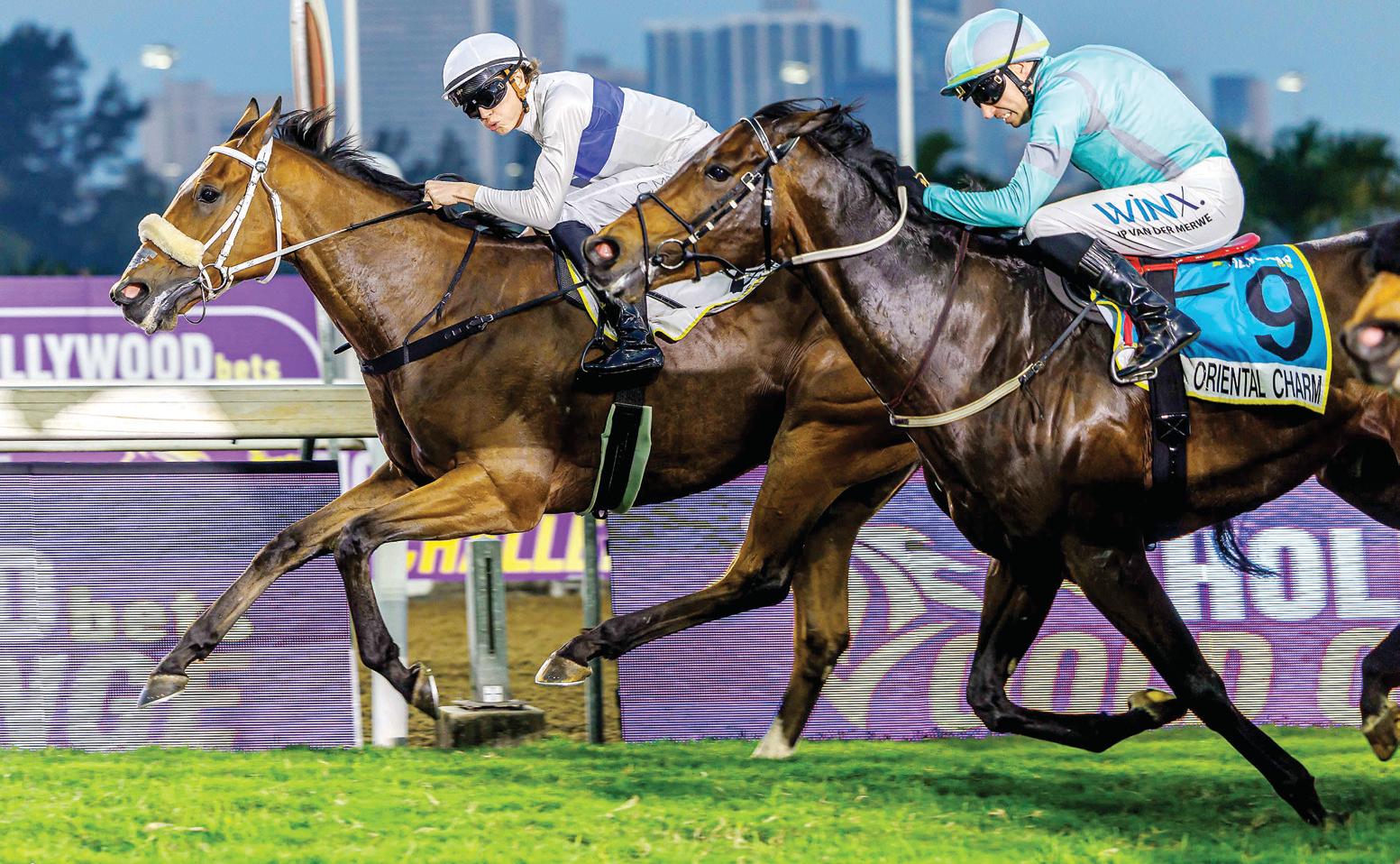 Top Entries for Champions Day