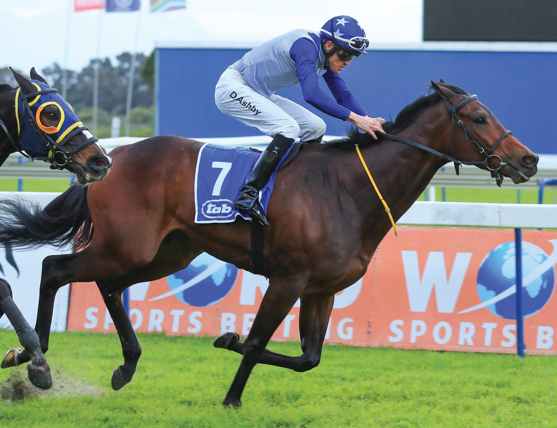 October to Storm Home in July