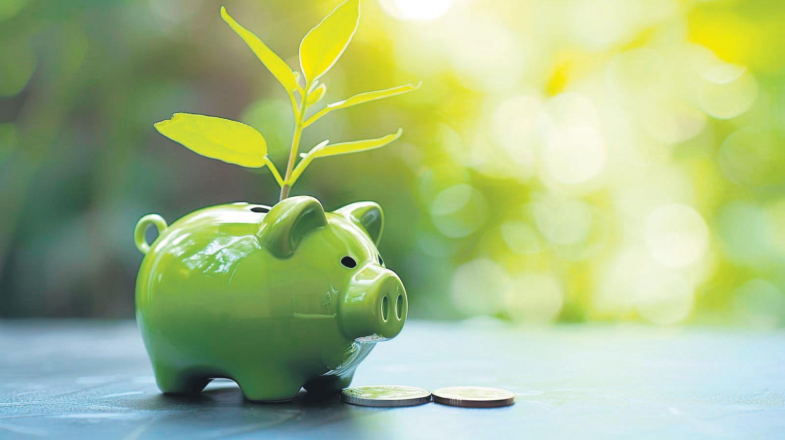 Financial wellness tips