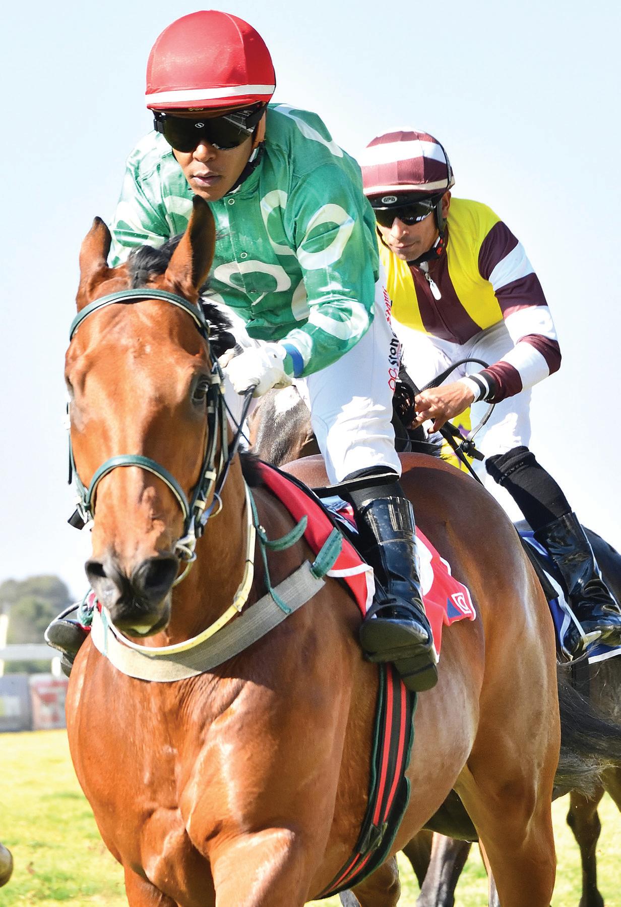 Palace Prince to take control