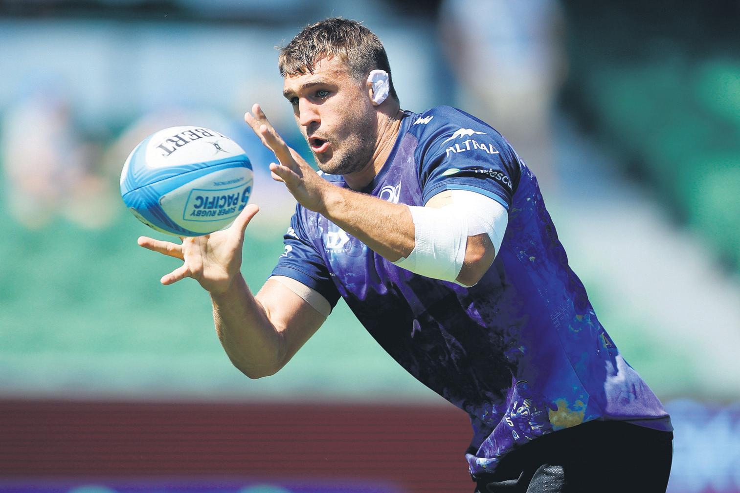 Schmidt backs 'scavenger' Champion de Crespigny