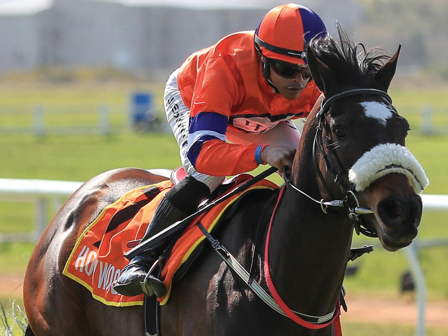 Sprinters to fly in the Cape