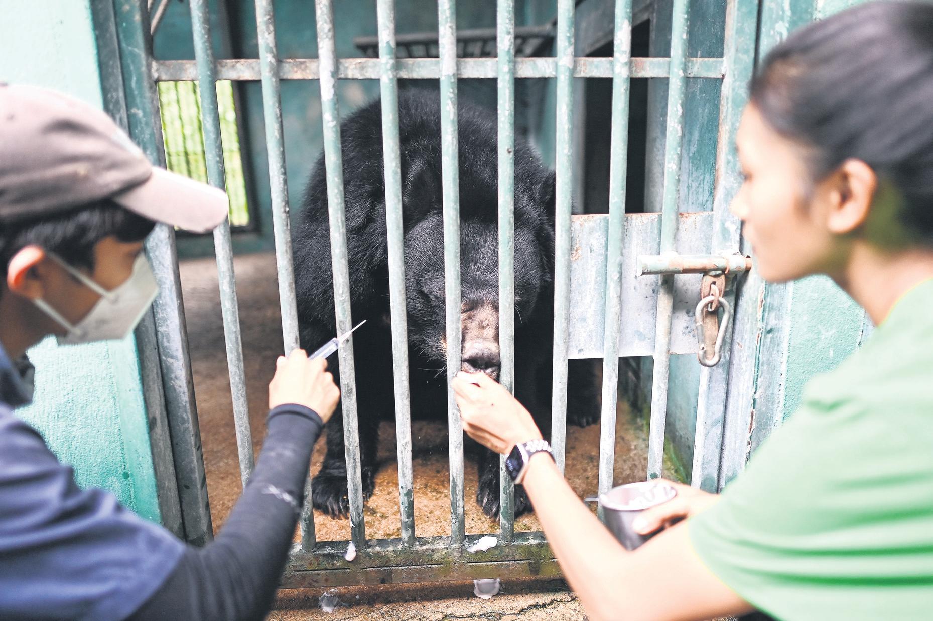 Last hope for wildlife