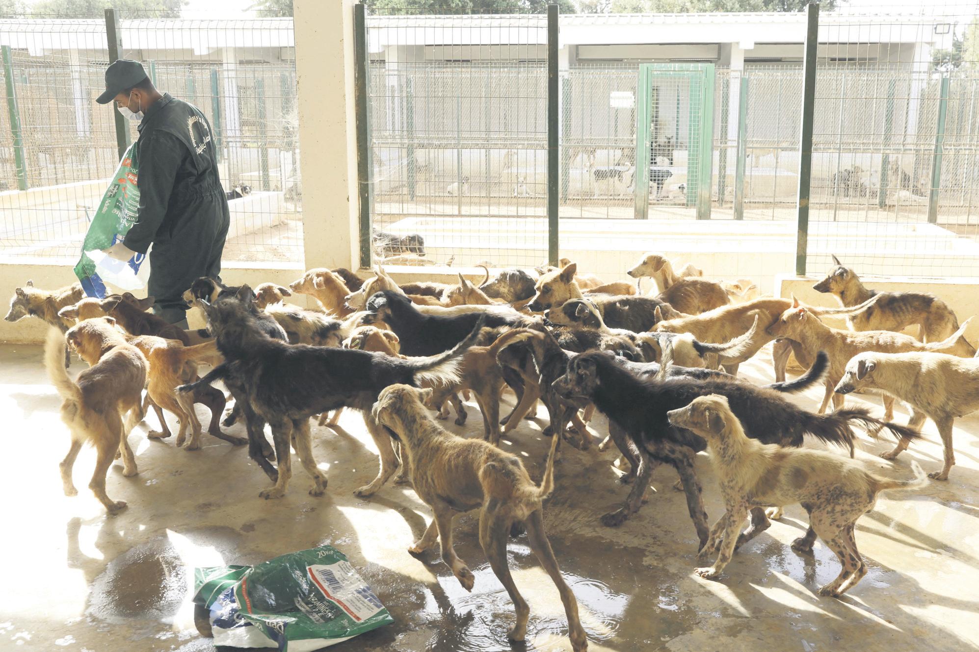 How dept makes NHI work