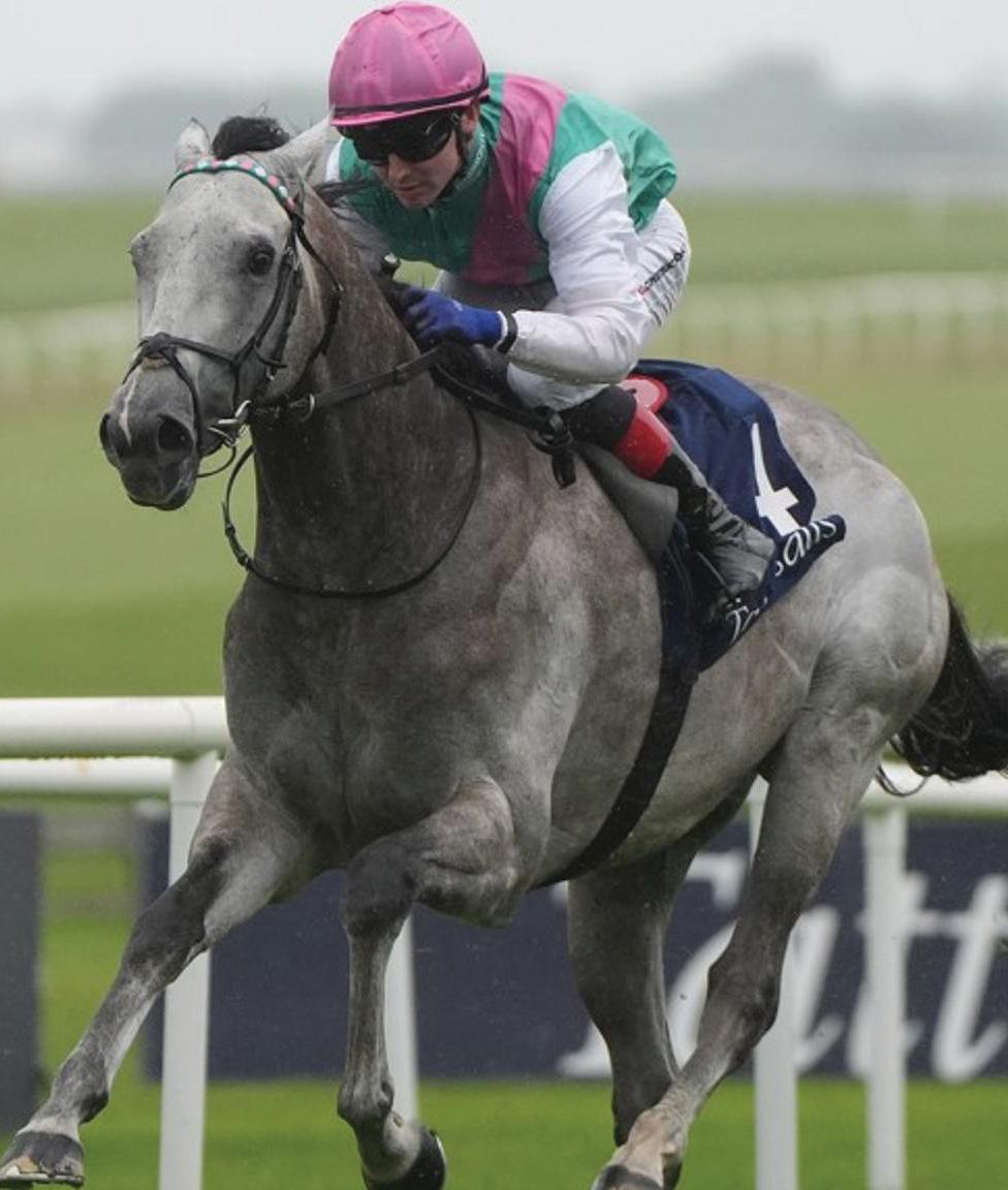 Details of Glorious Goodwood