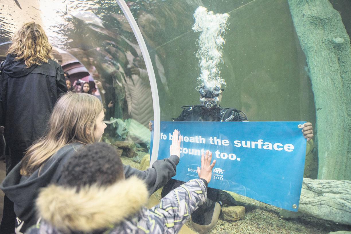 Dive deep into the zoo